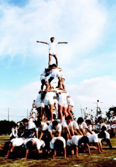 春高名物・組体操のピラミッド