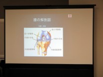 わかりやすい解説図も